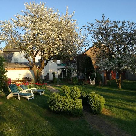 Fewo Thul Plein Exteriör bild